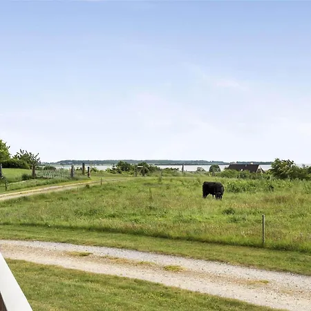 30729-odder-alrovej-203-c Odder